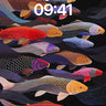 Luminous Koi Wallpaper with Midnight Currents wallpaper for iPhone, iPad & Mac