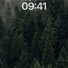 Whispering Pine Wallpaper with Mist Veil wallpaper for iPhone, iPad & Mac