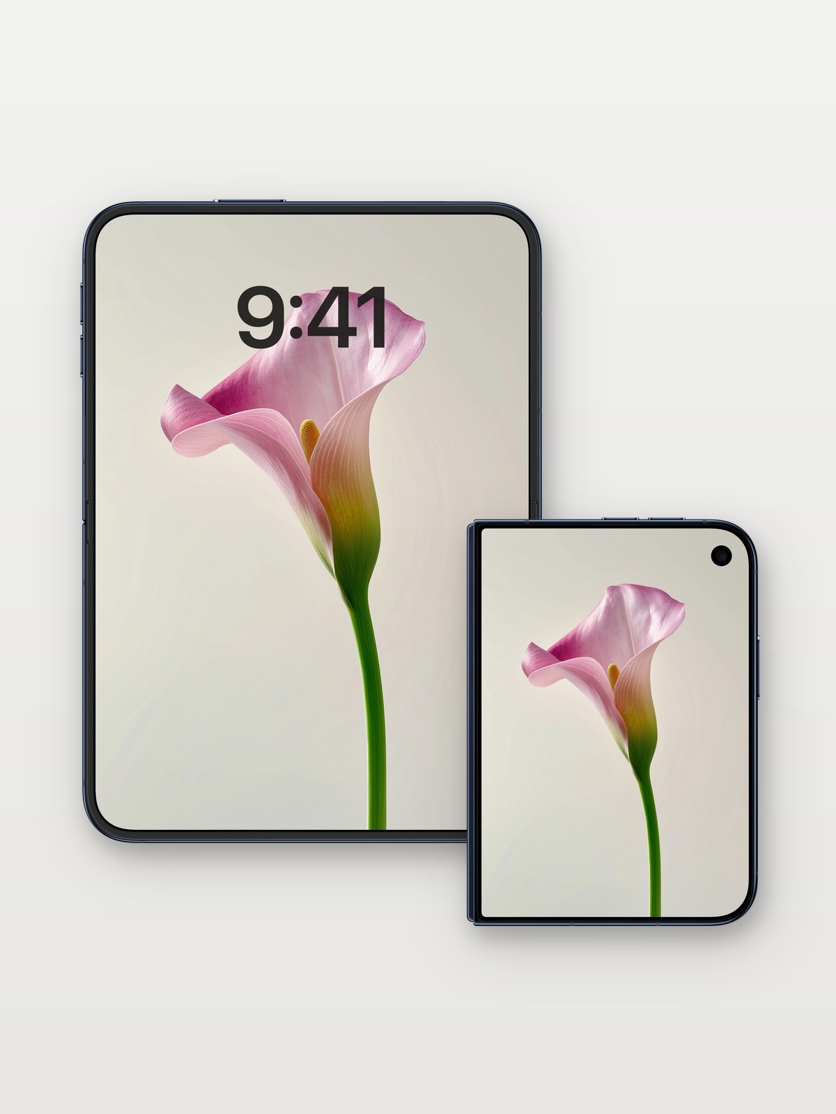 Serene Petal Wallpaper with Gentle Gradient on iPhone Duo, open and closed
