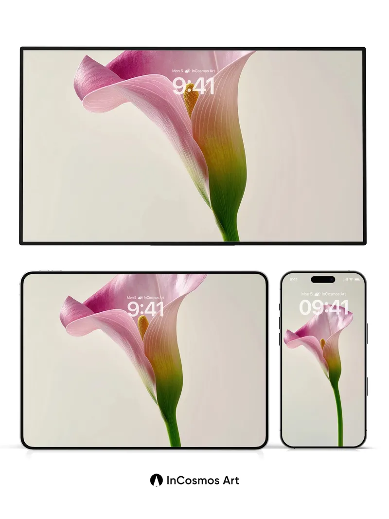 Serene Petal Wallpaper with Gentle Gradient