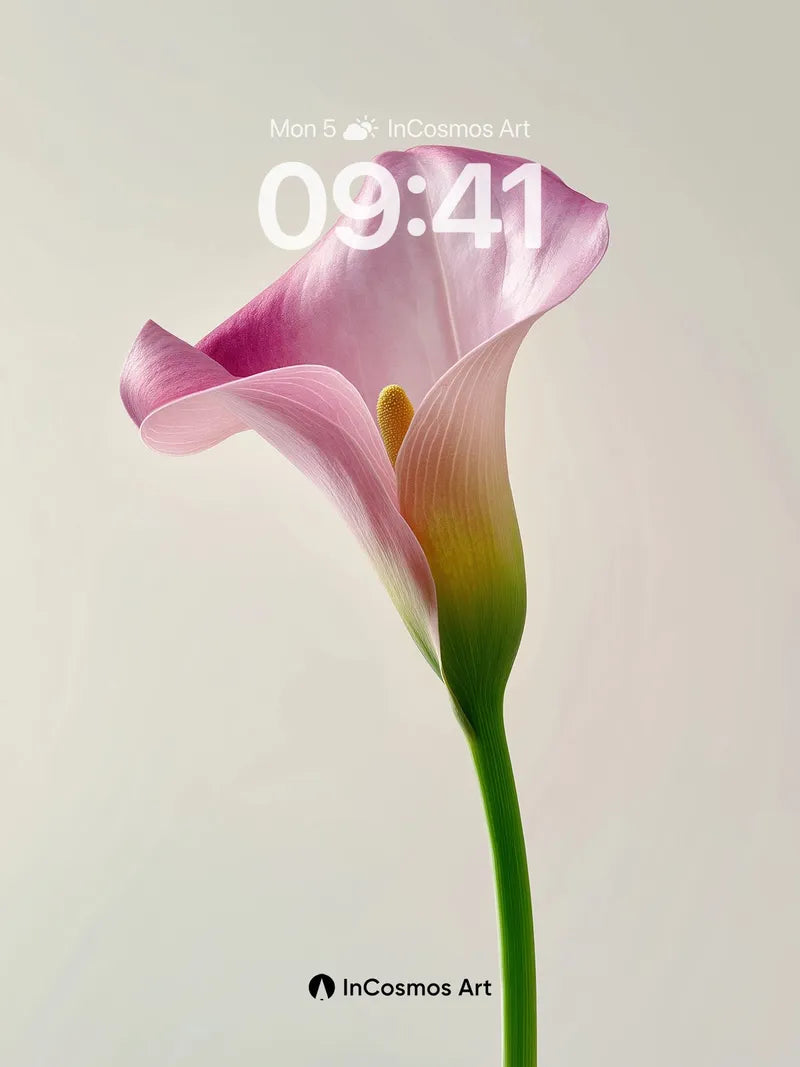 Serene Petal Wallpaper with Gentle Gradient wallpaper for iPhone, iPad & Mac