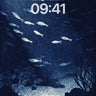 Moonlit Depths Wallpaper with Silver Fish Shadows wallpaper for iPhone, iPad & Mac