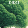 Serenity Under Canopy Wallpaper with Whispering Leaves wallpaper for iPhone, iPad & Mac