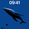 Serenity Blue Whale Wallpaper with Cosmic Drift wallpaper for iPhone, iPad & Mac