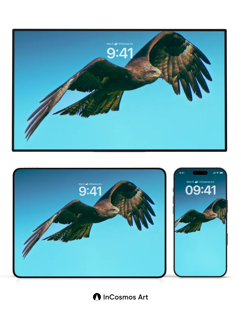 Soaring Silence Wallpaper with Feathered Light