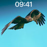 Soaring Silence Wallpaper with Feathered Light wallpaper for iPhone, iPad & Mac