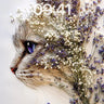 Whispering Petal Wallpaper with Feline Gaze wallpaper for iPhone, iPad & Mac
