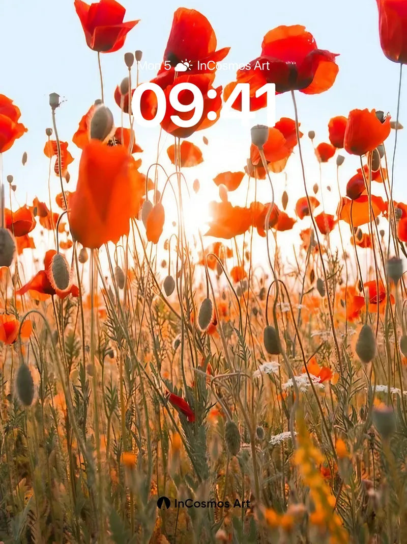 Sunset Poppy Field Wallpaper with Golden Light wallpaper for iPhone, iPad & Mac
