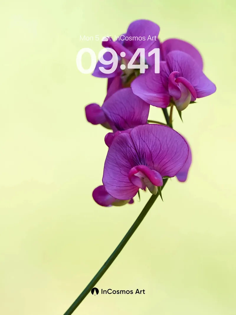 Serene Violet Wallpaper with Delicate Petal Veins