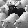 Singular Shadow Wallpaper with Flock of Wool wallpaper for iPhone, iPad & Mac