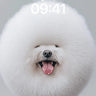 Fluffy Joy Wallpaper with Overalls Twist wallpaper for iPhone, iPad & Mac
