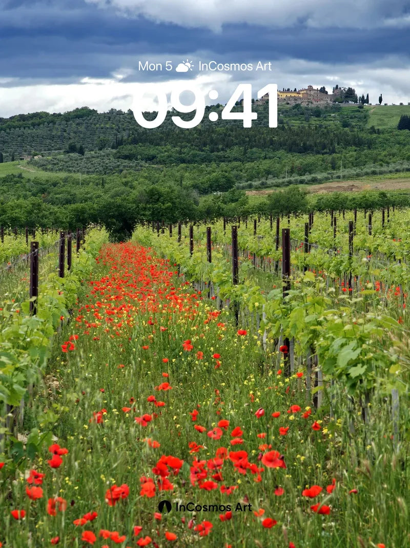 Serenity Vineyard Wallpaper with Poppy Path