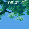 Canopy Breeze Anime Sky Wallpaper