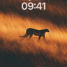 Golden Shadow Cheetah Wallpaper with Dusk Light wallpaper for iPhone, iPad & Mac
