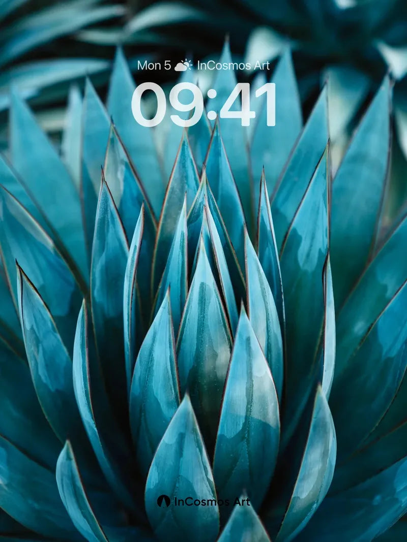 Cobalt Spine Wallpaper with Prickly Light