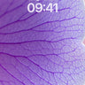 Lavender Veil Wallpaper with Delicate Veins wallpaper for iPhone, iPad & Mac