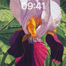 Velvet Iris Wallpaper with Hidden Light wallpaper for iPhone, iPad & Mac
