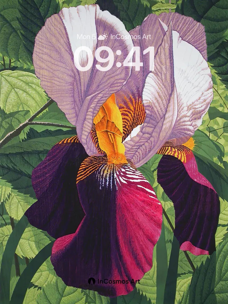 Velvet Iris Wallpaper with Hidden Light wallpaper for iPhone, iPad & Mac