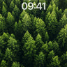 Whispering Canopy Wallpaper with Emerald Depth wallpaper for iPhone, iPad & Mac