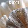 Silken Petal Wallpaper with Sunlit Veins wallpaper for iPhone, iPad & Mac
