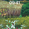 Whispering Marsh Wallpaper with Silver Leaves wallpaper for iPhone, iPad & Mac