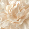 Serene Petal Wallpaper with Soft Light Drift wallpaper for iPhone, iPad & Mac