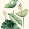 Serene Lotus Wallpaper with Whispering Leaves wallpaper for iPhone, iPad & Mac