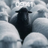 Solitary Shadow Wallpaper with Woolen Sea wallpaper for iPhone, iPad & Mac