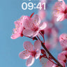 Serenity Bloom Wallpaper with Skyward Petals wallpaper for iPhone, iPad & Mac