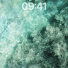 Aquatic Reverie Wallpaper with Sunlit Coral wallpaper for iPhone, iPad & Mac