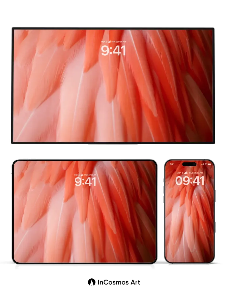 Coral Feather Wallpaper with Soft Light Gradient
