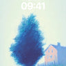 Misty Solitude Wallpaper with Whispering Tree wallpaper for iPhone, iPad & Mac