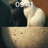 Serene Duet Wallpaper with Stone Embrace wallpaper for iPhone, iPad & Mac