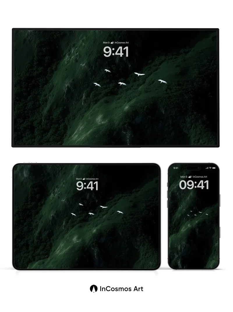 Shadowed Valley Wallpaper with Floating Birds