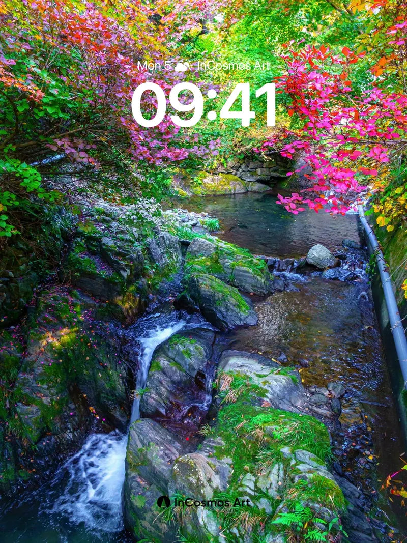 Autumn Whispers Wallpaper with Moss-Covered Stones