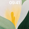 Serene Calla Lily Wallpaper with Soft Light Veils wallpaper for iPhone, iPad & Mac