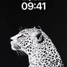 Silent Watcher Leopard Wallpaper in Monochrome Contrast wallpaper for iPhone, iPad & Mac