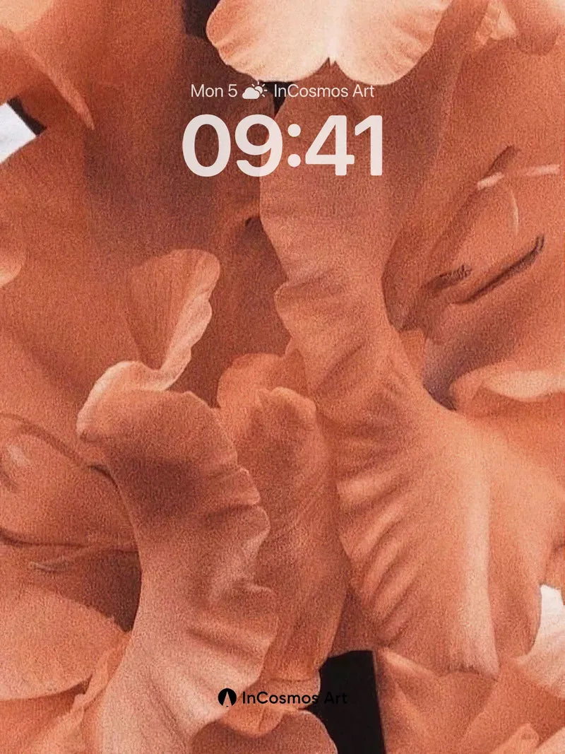 Velvet Petal Wallpaper with Soft Light Drift wallpaper for iPhone, iPad & Mac