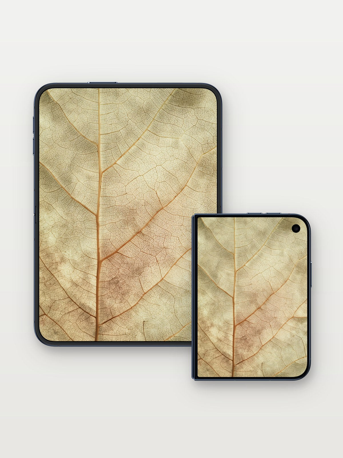 Silken Vein Wallpaper with Fossilized Light on iPhone Duo, open and closed