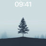 Solitary Pine Wallpaper in Foggy Silence wallpaper for iPhone, iPad & Mac