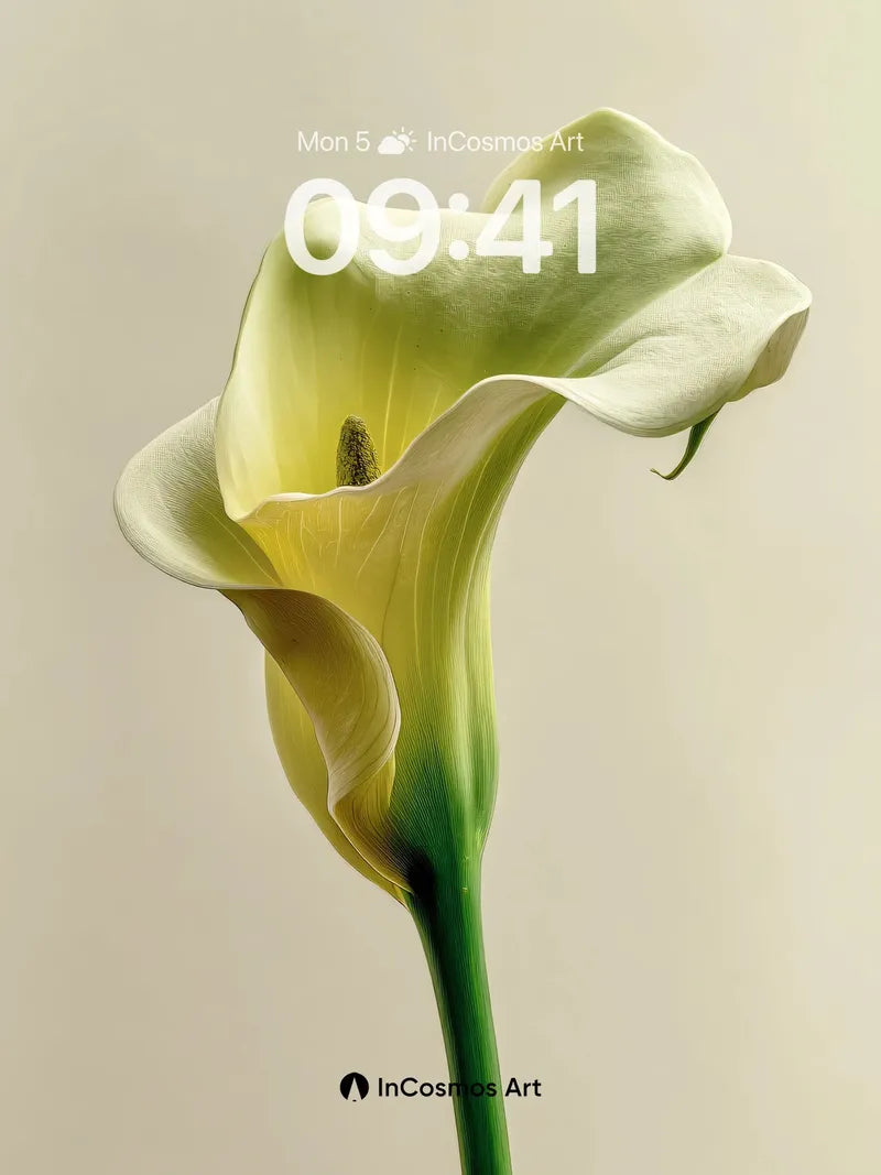 Serene Calla Wallpaper with Ethereal Light wallpaper for iPhone, iPad & Mac