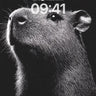 Whispering Fur Wallpaper with Silver Light wallpaper for iPhone, iPad & Mac