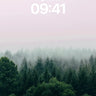 Misty Pine Canopy Wallpaper with Ethereal Haze wallpaper for iPhone, iPad & Mac