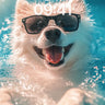 Sun-Kissed Pup Wallpaper with Cool Shades wallpaper for iPhone, iPad & Mac