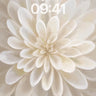 Serenity Bloom Wallpaper with Soft Petal Light wallpaper for iPhone, iPad & Mac