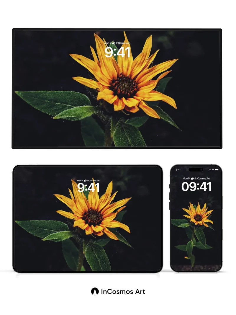 Solitary Radiance Wallpaper with Velvet Depths