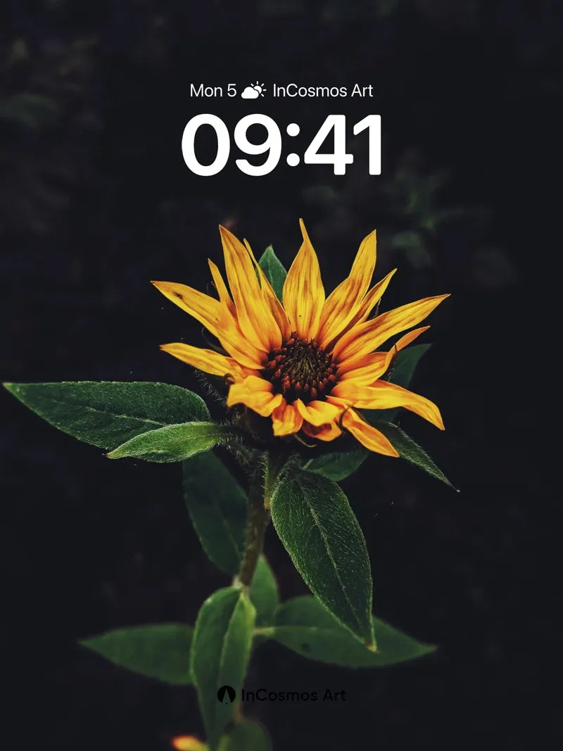 Solitary Radiance Wallpaper with Velvet Depths