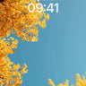 Golden Canopy Wallpaper with Sky Frame wallpaper for iPhone, iPad & Mac