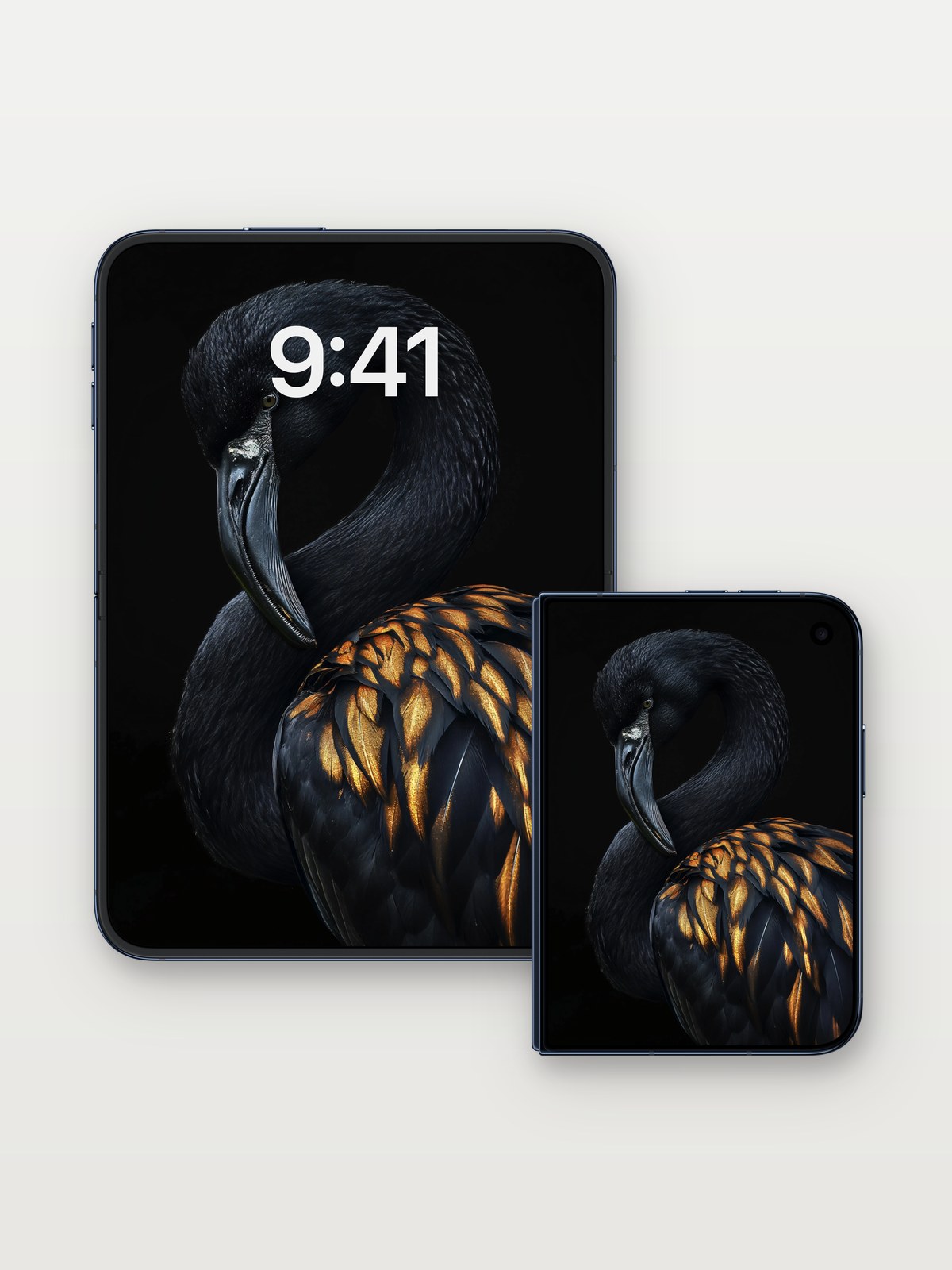 Velvet Shadow Wallpaper with Amber Feathers on iPhone Duo, open and closed