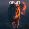 Golden Shadow Wallpaper with Lion's Gaze wallpaper for iPhone, iPad & Mac